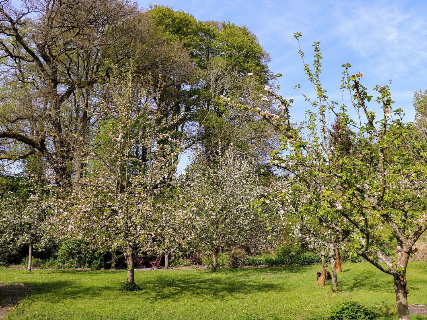 Trem-Yr-Afon Villa Lampeter Bagian luar foto