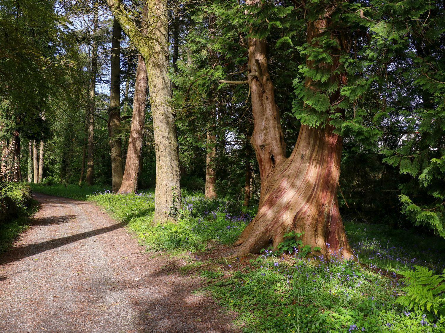 Trem-Yr-Afon Villa Lampeter Bagian luar foto